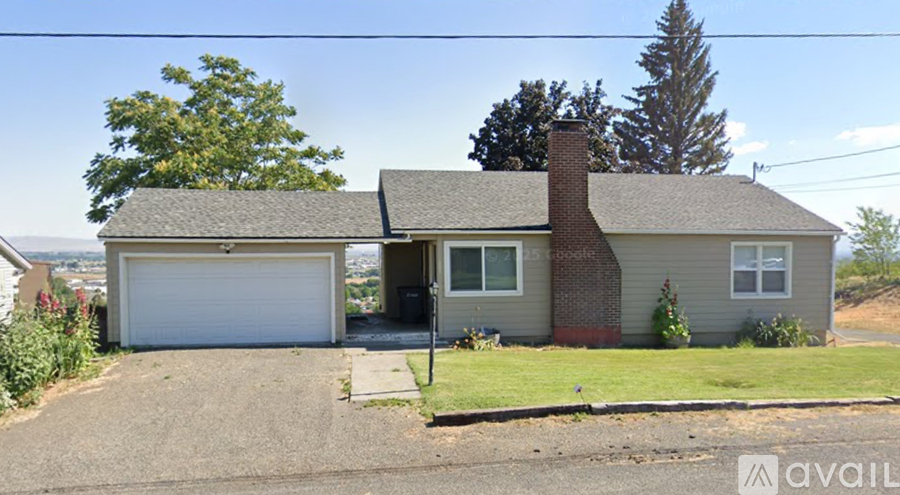 A sunny day in a backyard with a well-maintained lawn and a house in the background.