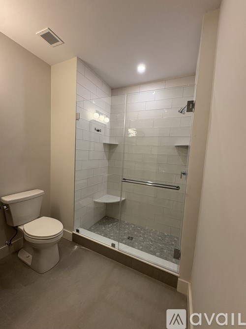 A bathroom with a toilet and a walk-in shower.