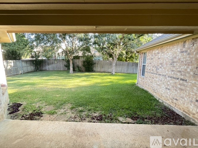 A backyard with a fence and a tree.