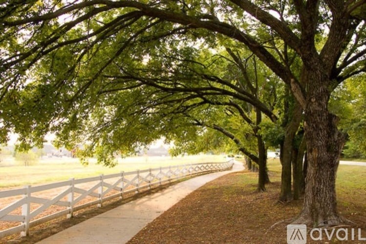 A tree-lined walkway with a white fence on one side.