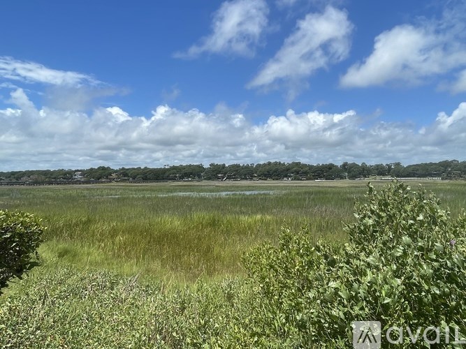 A field with green and yellow grass under a blue sky with clouds.