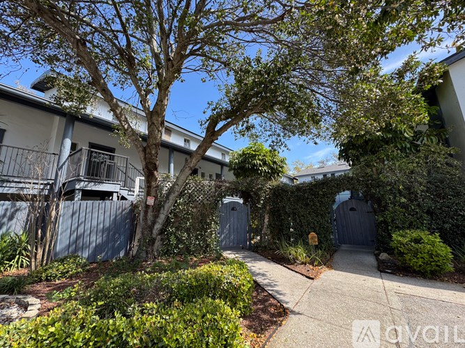 A tree in a yard with a house in the background.