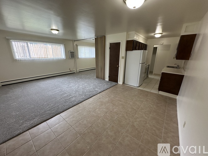 A spacious room with a window, a fridge, and a sink.