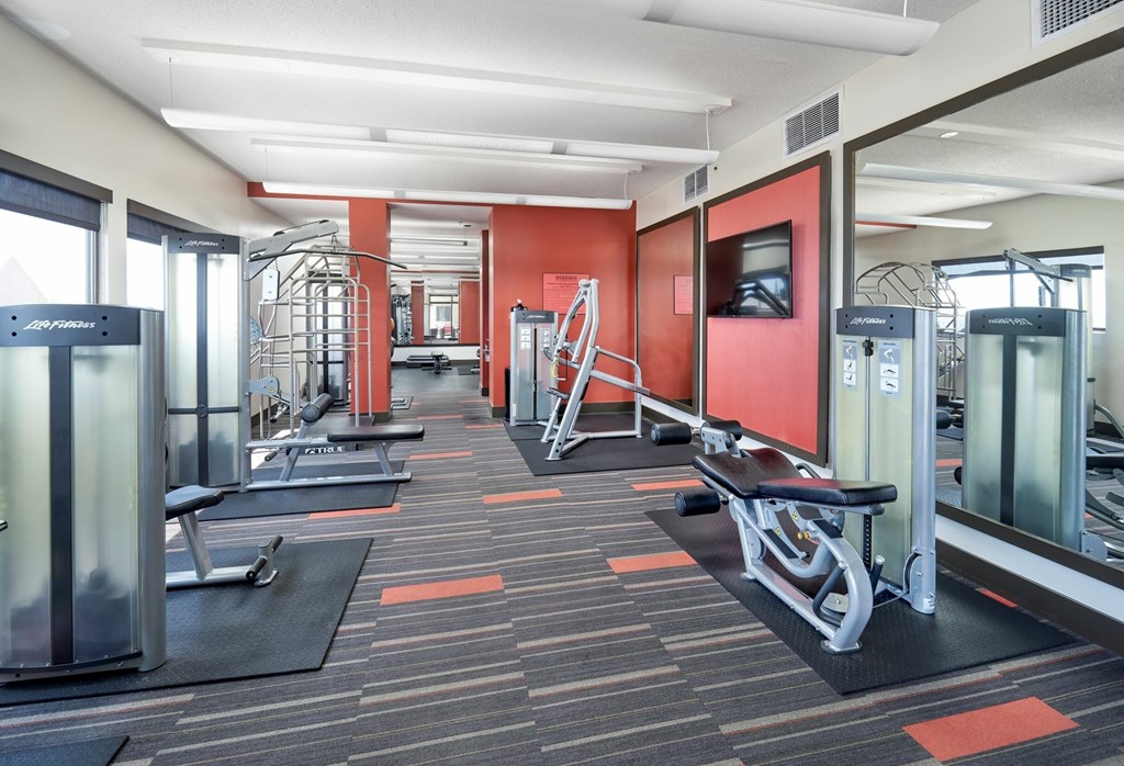 A gym with a variety of equipment including a treadmill, weight bench and a television.