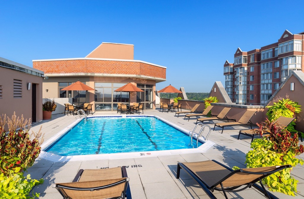 A large outdoor swimming pool surrounded by lounge chairs and umbrellas.