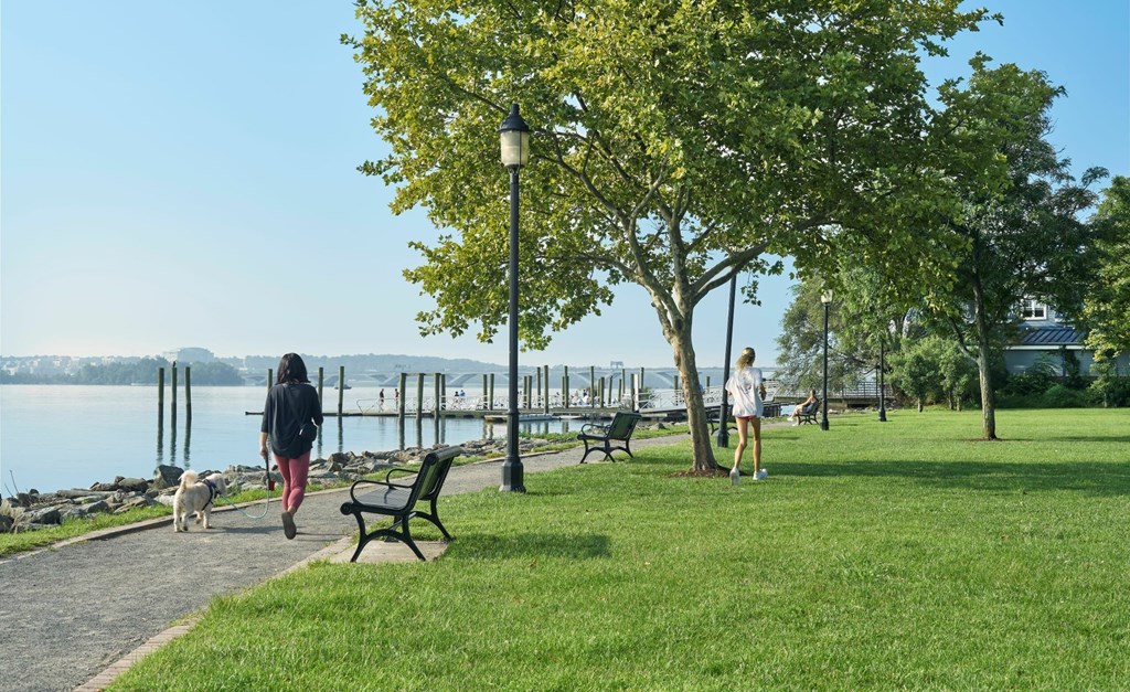 A woman walking her dog in a park with a lake in the background.