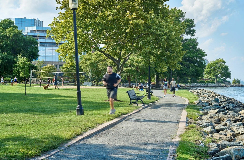 A man is jogging on a paved path in a park.