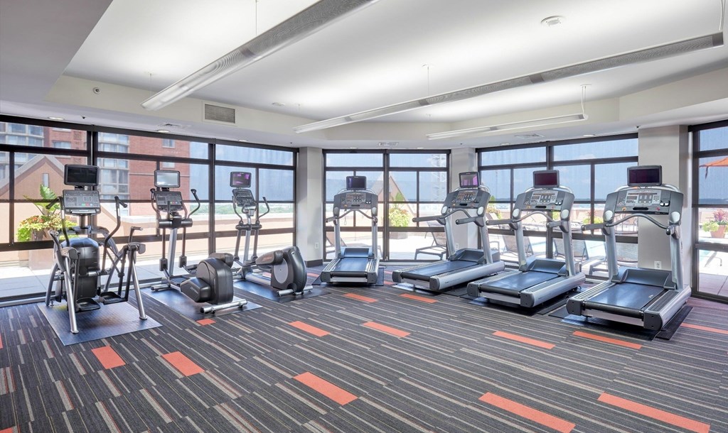 A gym with treadmills, elliptical machines, and other cardio equipment.
