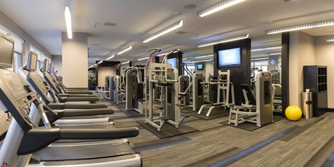 A gym with treadmills, weights, and exercise machines.