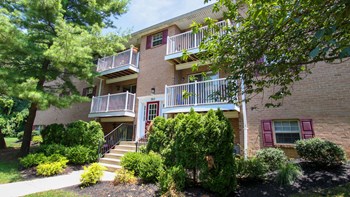 340 West Lehigh Street Apt. 6 1-3 Beds Apartment for Rent - Photo Gallery 4