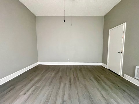 A room with a wooden floor and a white door.