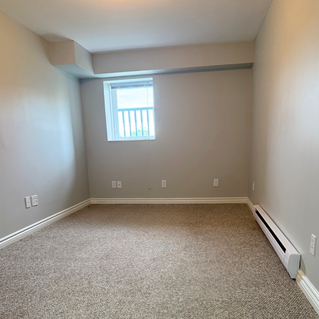 A room with a window and a carpeted floor.