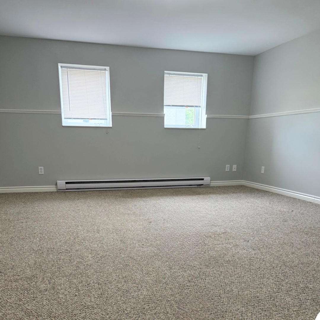 A room with a carpeted floor and two windows.