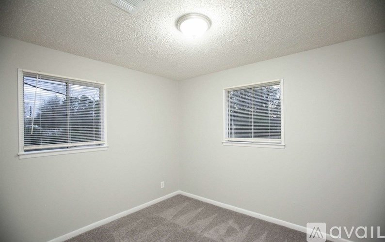 A room with two windows and a carpeted floor.