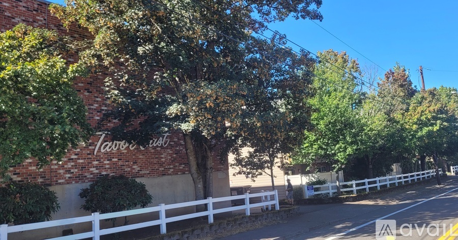 A white fence runs along the side of a road.