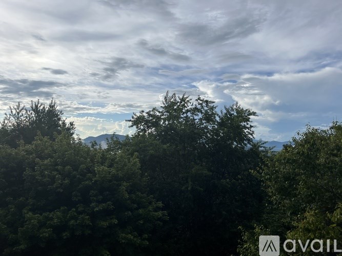 A landscape image with trees and a cloudy sky.