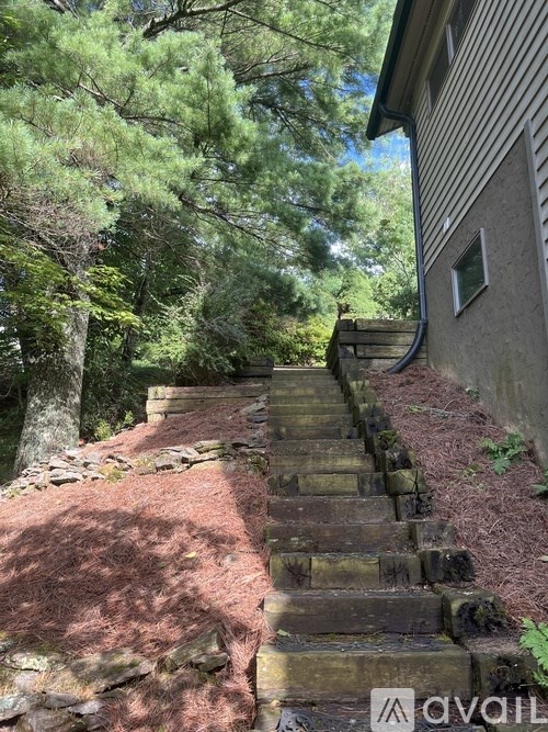 A set of stone steps lead up a slope.