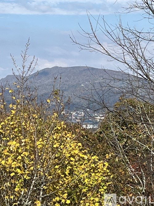 A mountain range with trees and bushes in the foreground.