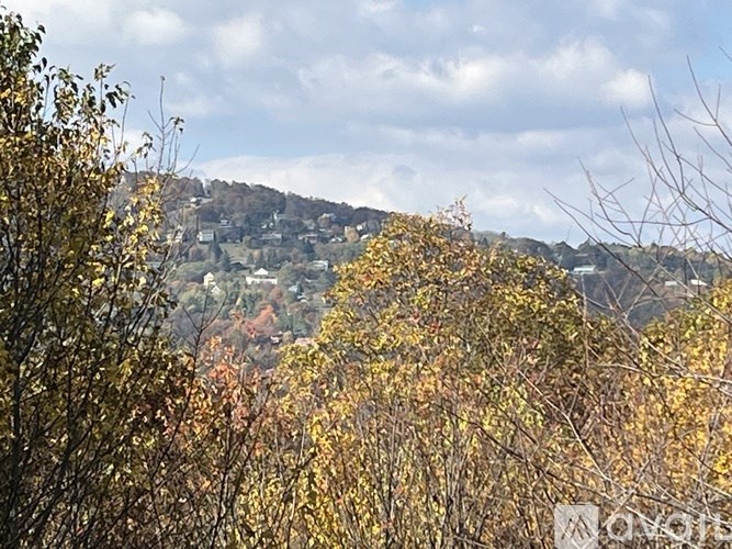 A landscape with trees in the foreground and a hill with buildings in the background.