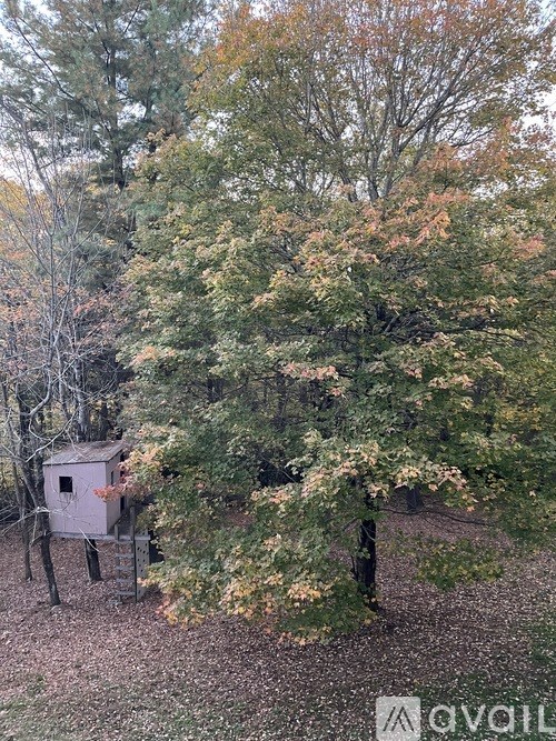 A birdhouse sits in the middle of a forest.