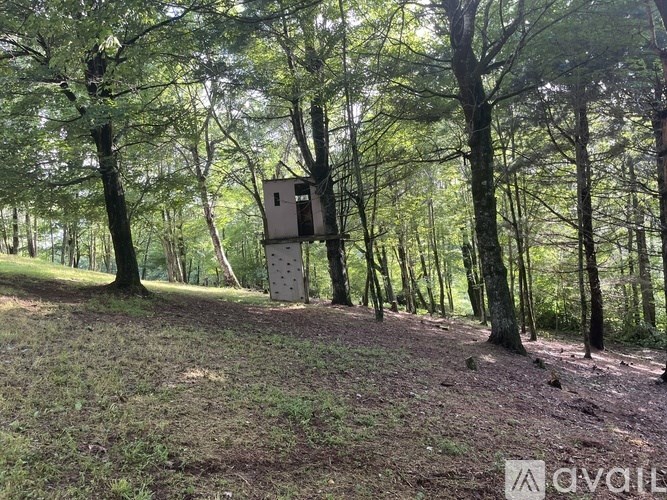 A small building sits in the middle of a forest.