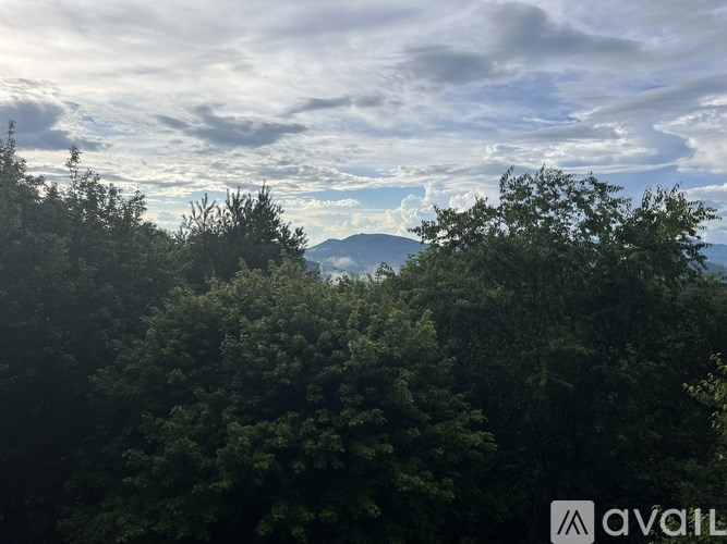 A landscape image of a forest with a mountain in the distance.