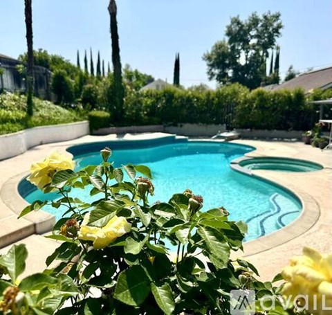 A pool surrounded by greenery and a yellow rose bush.