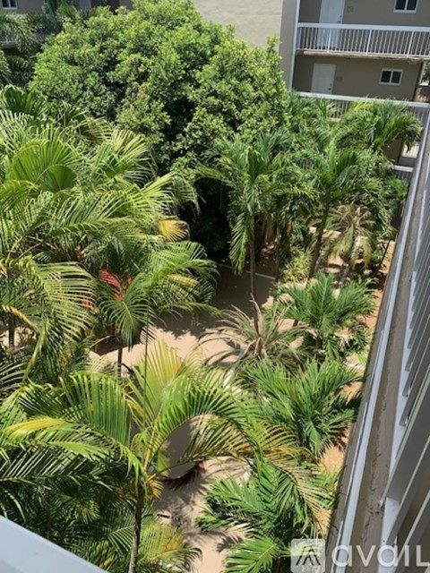 A balcony overlooks a courtyard with palm trees.