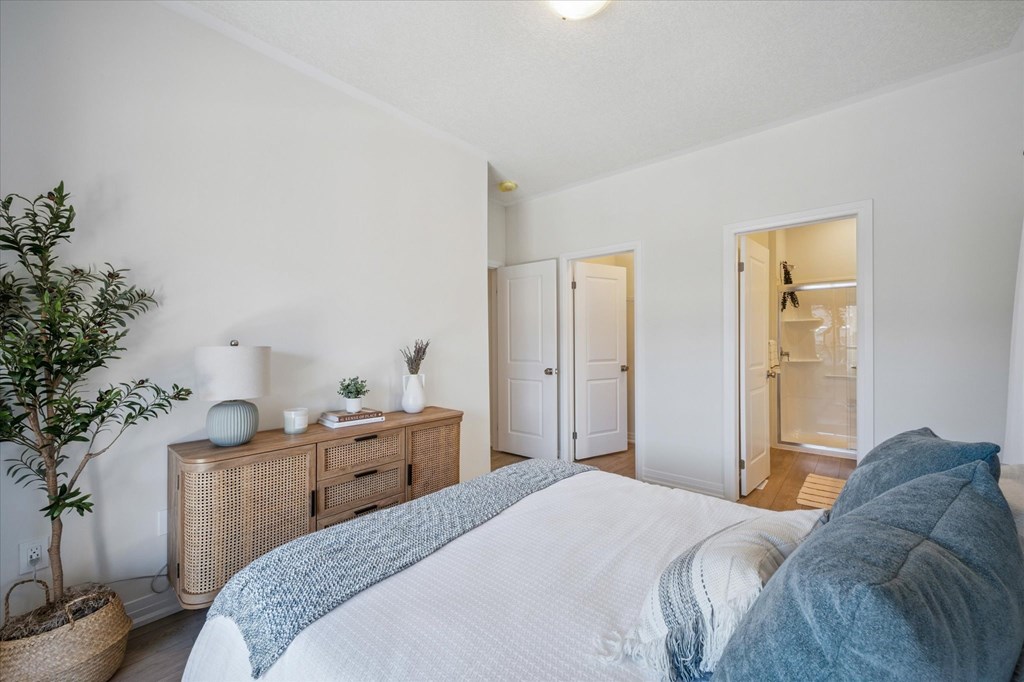 A bedroom with a bed, dresser, and mirror.