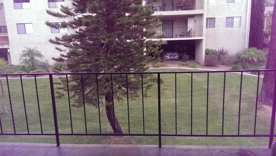 A tree is behind a fence.