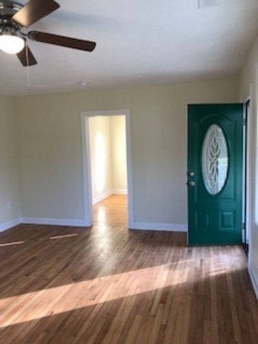 A room with a green door and a ceiling fan.