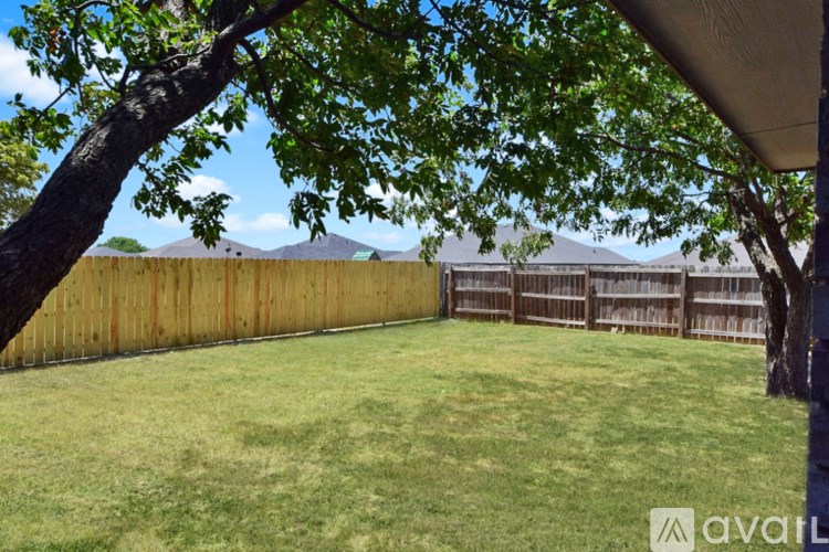 A backyard with a fence and trees.