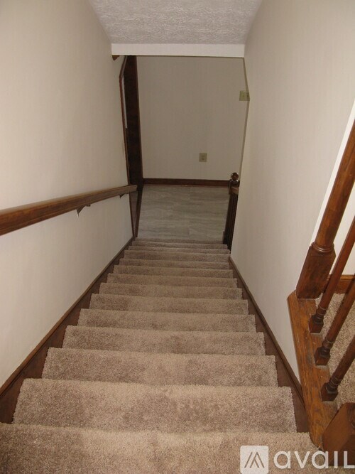 A staircase with beige carpeted steps and wooden handrails.