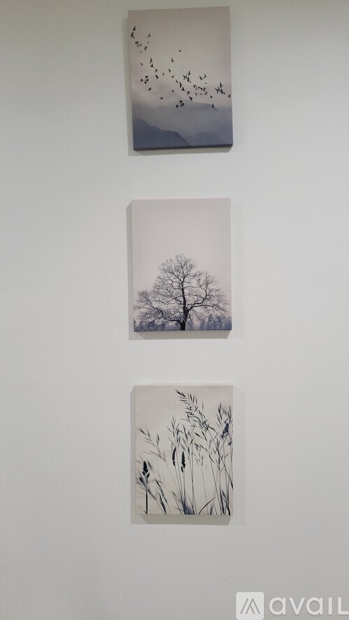 Three framed pictures of trees and birds are hanging on a wall.