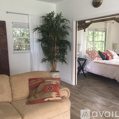 A living room with a tan couch and a large potted plant.