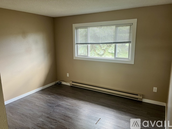 A room with a window and a radiator on the floor.