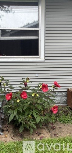 1132 N Pearce St 3 Beds Apartment for Rent