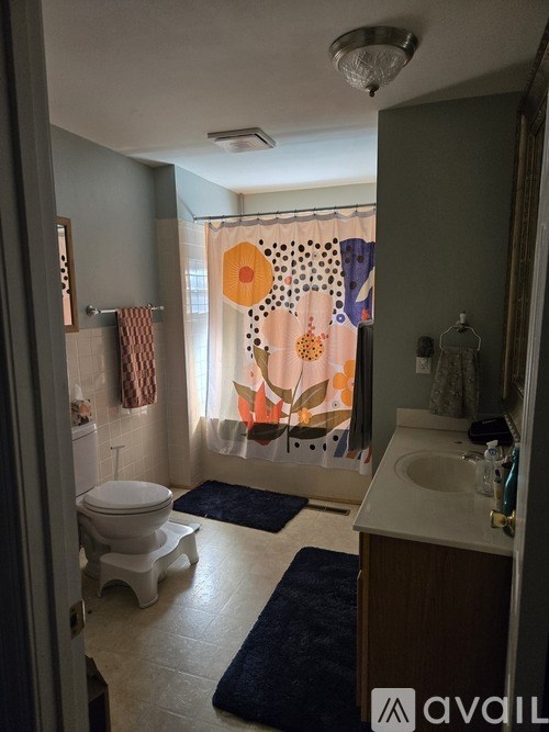 A bathroom with a toilet, sink, and shower curtain.