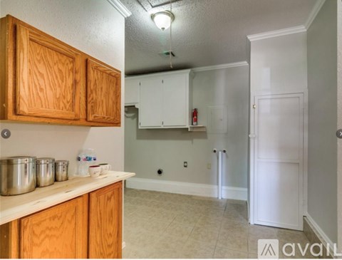 A kitchen with wooden cabinets and a white door.