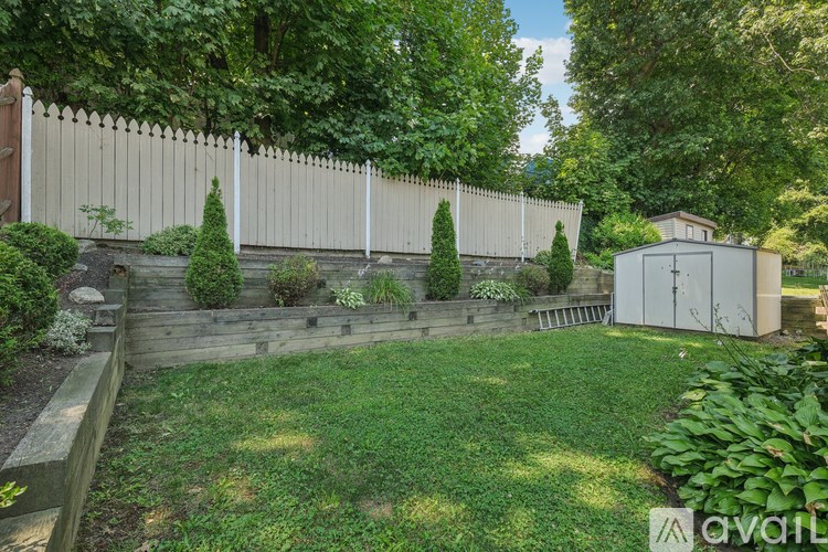 A backyard with a fence, a shed, and a variety of plants.