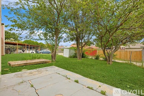 A backyard with a bench and a tree.