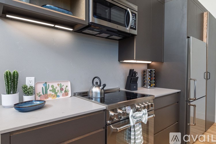 A kitchen with a modern design featuring a microwave above the stove and a cactus on the counter.