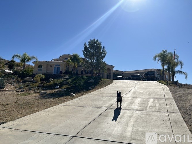 A person is walking on a concrete path in front of a house.