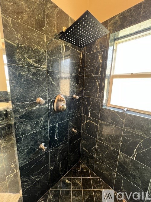 A shower area with a black tile wall and floor.