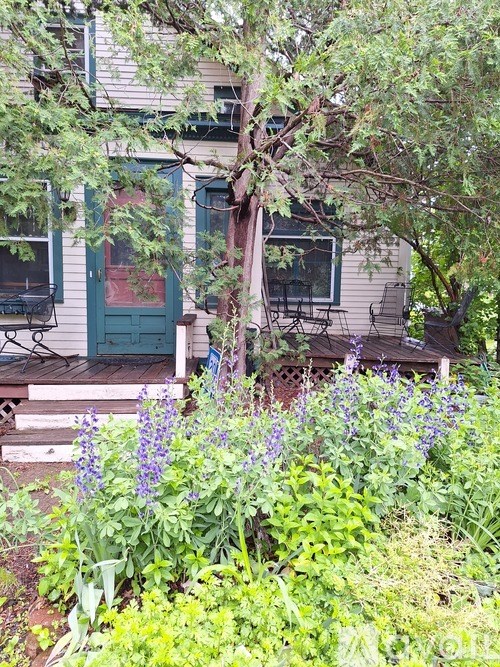 A house with a green door and a porch surrounded by plants.