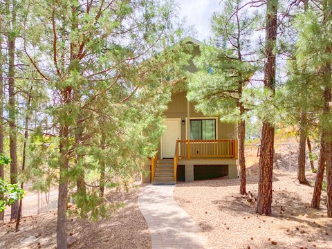 A house is surrounded by trees in a wooded area.