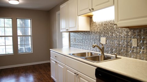 A kitchen with a sink and cabinets.