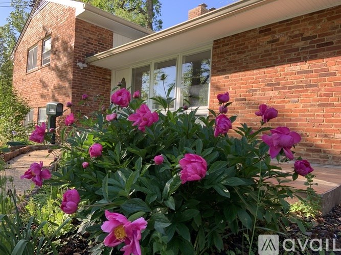 A house with a garden in front of it.