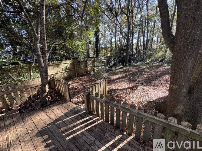 A view of a backyard through an open door.