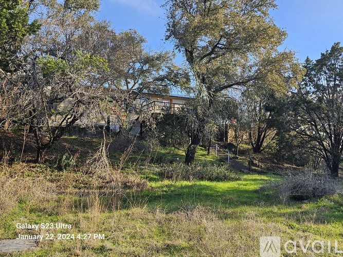 A natural landscape with trees and a building in the background.